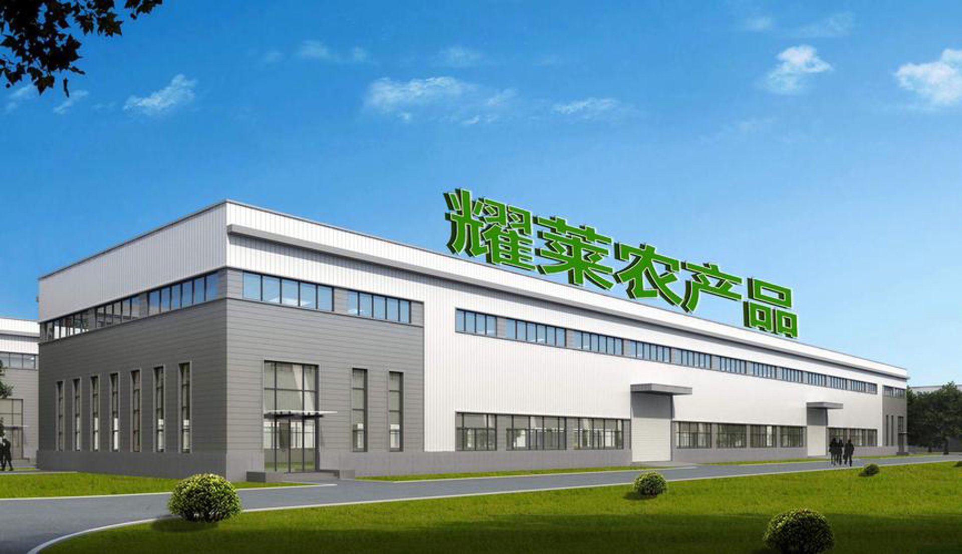 大豆加工：传统工艺与现代技术的结合