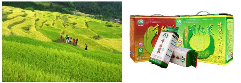 有机山特产品——自然馈赠的精品