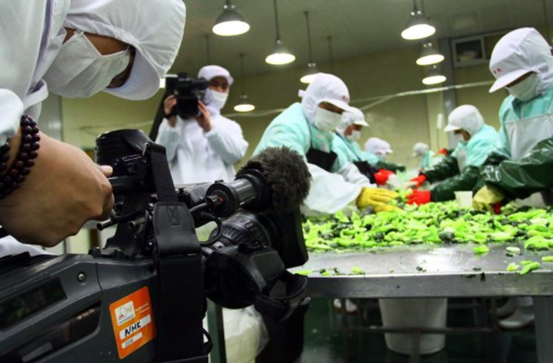 大豆加工产业的新篇章：品质与创新的并进