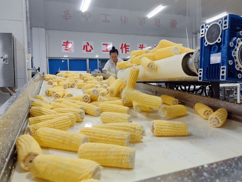 农产品深加工：让餐桌更精彩