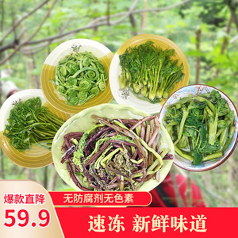 把握未来趋势：大豆加工行业的蓬勃发展